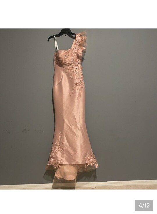 Terani Couture Dresses & Skirts - Terani Couture Dusty Rose One-Shoulder Satin Evening Gown